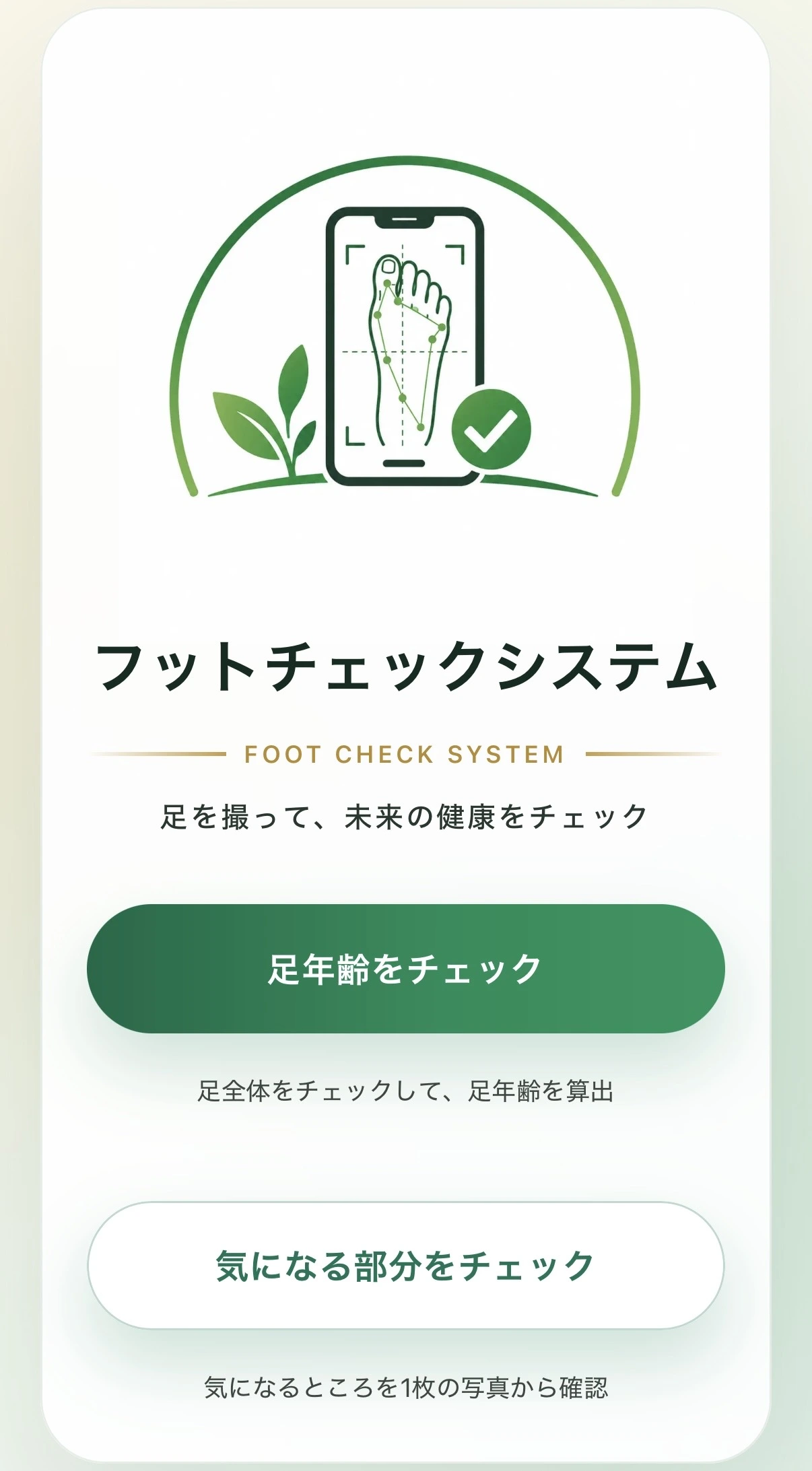 フットチェックシステムの2つのチェックモード